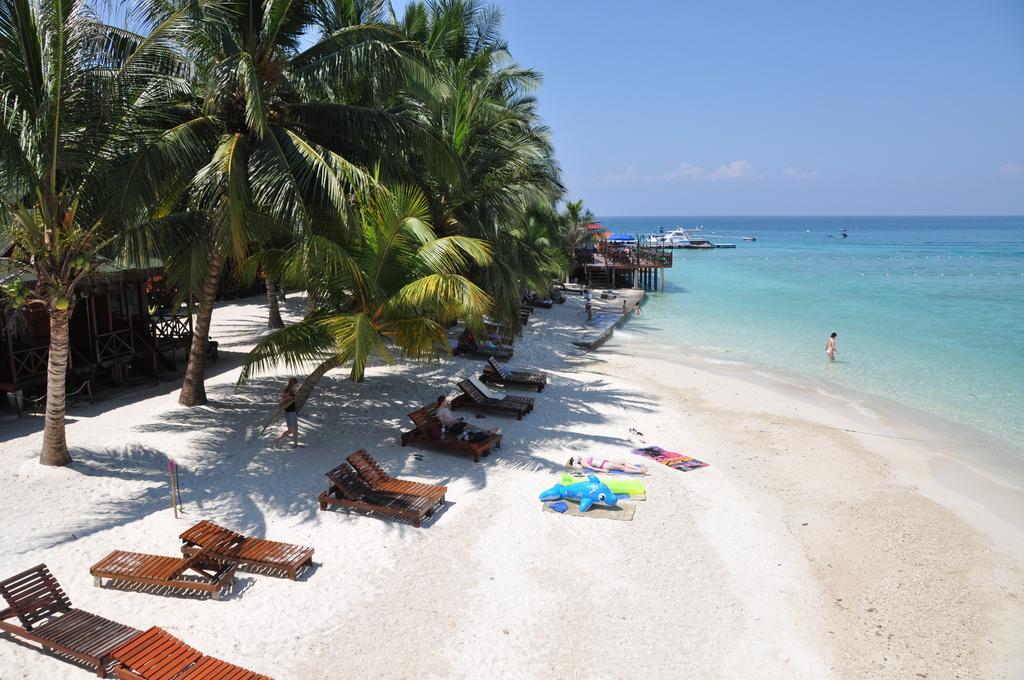 New Cocohut Chalet Hotel Kuala Terengganu Værelse billede